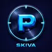 APK Min P-skiva