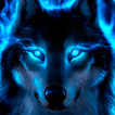 Wolf Live Wallpaper