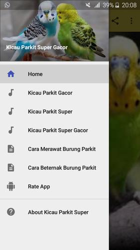 Kicau Burung Parkit For Android Apk Download