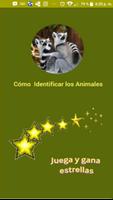 Cómo Identificar Animales Poster