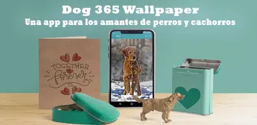 Dog 365 - Fondos de pantalla