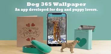 Dog 365 wallpapers & Puppies