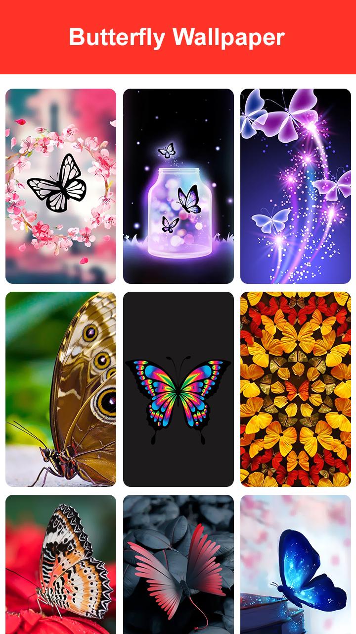 Butterfly Wallpaper 2023 APK per Android Download Butterfly Wallpaper 2023 APK per Android Download