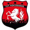 FCTH icon