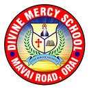 Divine Mercy School APK