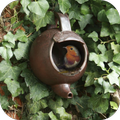 DIY Bird House Ideas