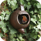 DIY Bird House Ideas icon