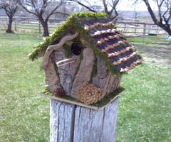 DIY Bird House Ideas screenshot 3