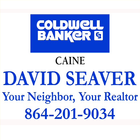 David Seaver icono