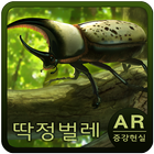 참나무숲 딱정벌레 증강현실(AR) icône