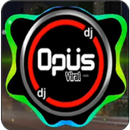 DJ Opus Viral Offline 2025 APK