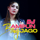 Dj Ampun Bang Jago Remix Offline APK