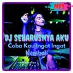 DJ Coba Kau Ingat Ingat Kembali Remix Offline