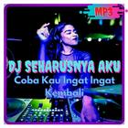 DJ Coba Kau Ingat Ingat Kembali Remix Offline أيقونة