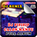 DJ Pipipi Calon Mantu Remix Offline Full Bass APK