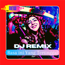 DJ Rasa ini Yang Tertinggal Remix Mp3 Offline APK