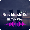 DJ Tik Tok Viral Offline | DJ Satru