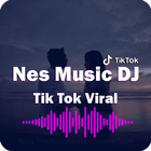 DJ Tik Tok Viral Offline | DJ Satru icône