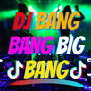 Dj Simpapa Polyubila & Dj Bang APK