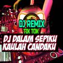 DJ Dalam Sepiku Kaulah Candaku APK