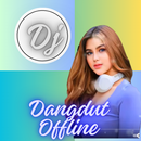Dj dangdut viral APK