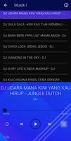 DJ macarena Remix ภาพหน้าจอ 2