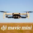 dji mavic mini