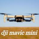 dji mavic mini APK