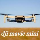 dji mavic mini иконка