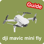 Dji mavic mini fly guide
