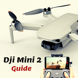 dji mini 2 guide