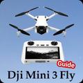 dji mini 3 fly guide