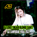 DJ Joko Tingkir Ngombe Dawet APK
