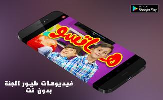 طيور الجنة تصوير الشاشة 2
