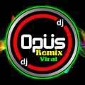 ”Dj opus gani gani hujan badai