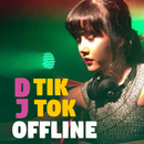 Dj Campuran Offline APK