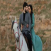 Hercai Dizi Müzikleri  // internetsiz free APK