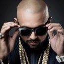 Sean Paul ( hits)/without internet offline music APK