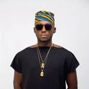 DJ spinall songs APK
