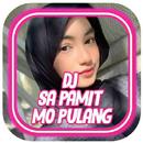 DJ SA PAMIT MO PULANG FULL BASS OFFLINE + BONUS APK