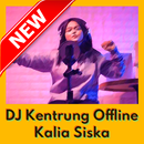 DJ Kentrung Kalia Siska Full Album Offline MP3 APK