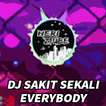 DJ Sakit Sekali Everybody Remix Mp3