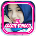 Dj Cocote Tonggo Remix Viral F