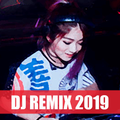 New Album DJ REMIX BEST 2019