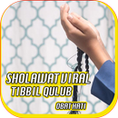 APK Sholawat Tibbil Qulub Offline