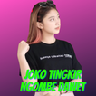 Dj Joko Tingkir Remix Offline