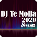 DJ Te Molla Offline APK