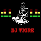 Radio Mix - DJ Tigre иконка