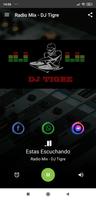 Radio Mix - DJ Tigre постер