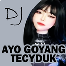 APK DJ Ayo Goyang Tercyduk Remix